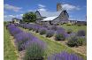 small_672_barn3.jpg