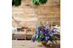 small_672_barn_setting7.jpg
